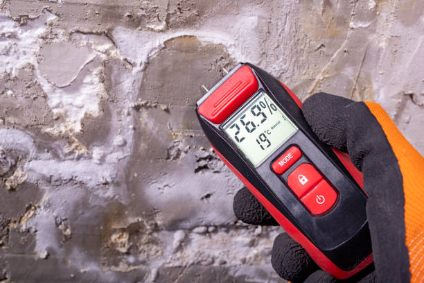 Best Basement Mold Remediation in Riverside, CA