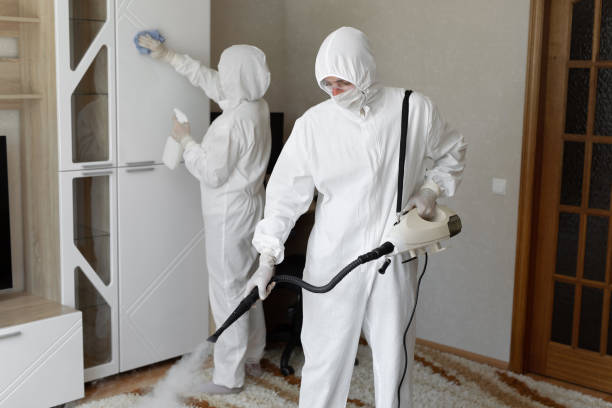 Best Attic Mold Remediation in Riverside, CA