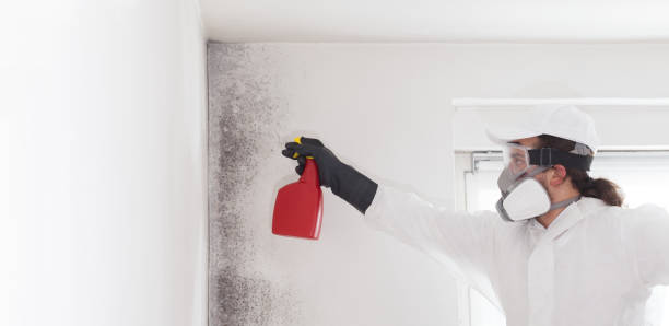Best Mold Remediation for Schools in Riverside, CA